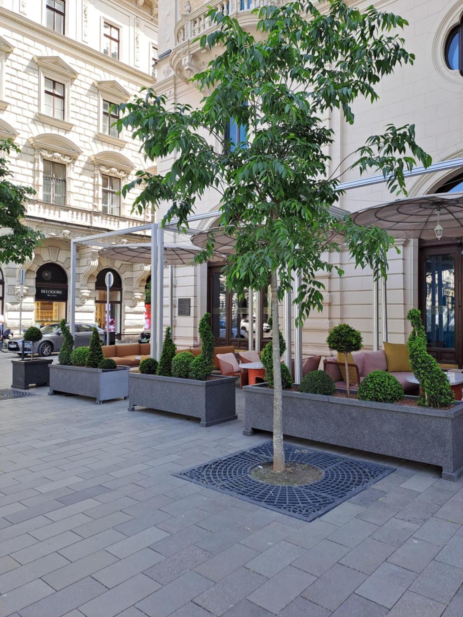 Cute Downtown Apartment บูดาเปสต์ ภายนอก รูปภาพ